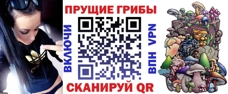 сайты даркнета состав  Боготол  Псилоцибиновые грибы GOLDEN TEACHER  MEGA зеркало 